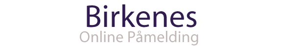 Birkenes online pmelding